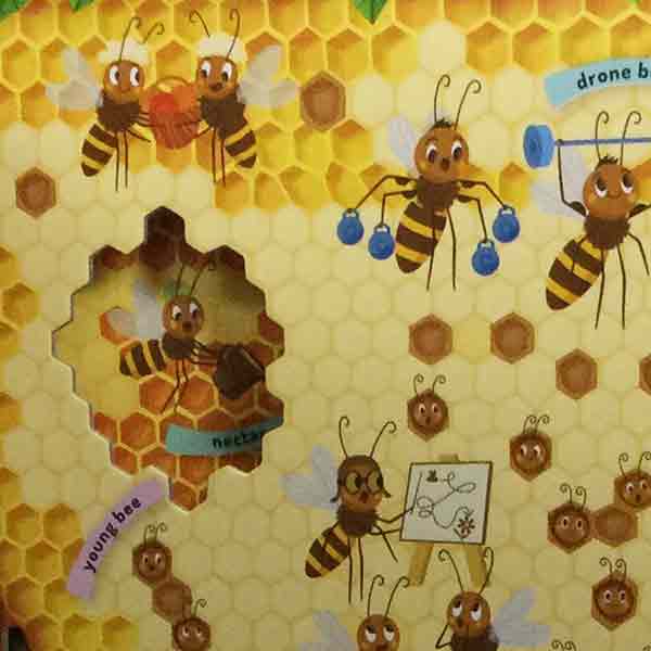 Discover the Busy World of the Beehive - Image 2